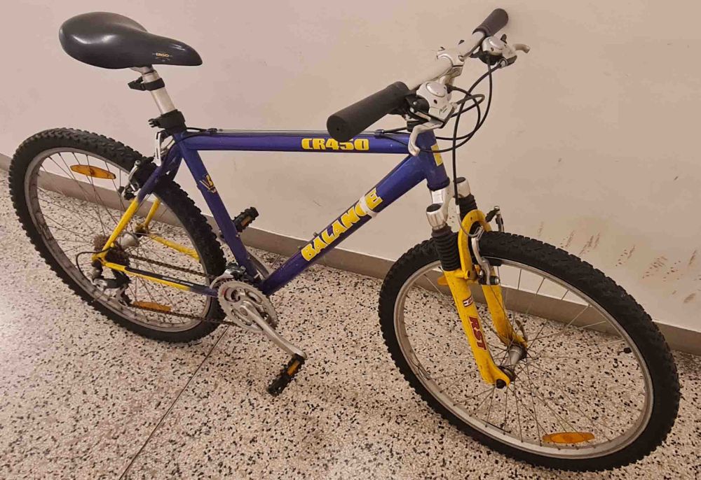 Mountainbike Damen CR450 Balance