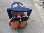 Produktbild 8 von Babboe Curve Lastenrad Cargo Bike Kinder Transporter Lastenfahrra