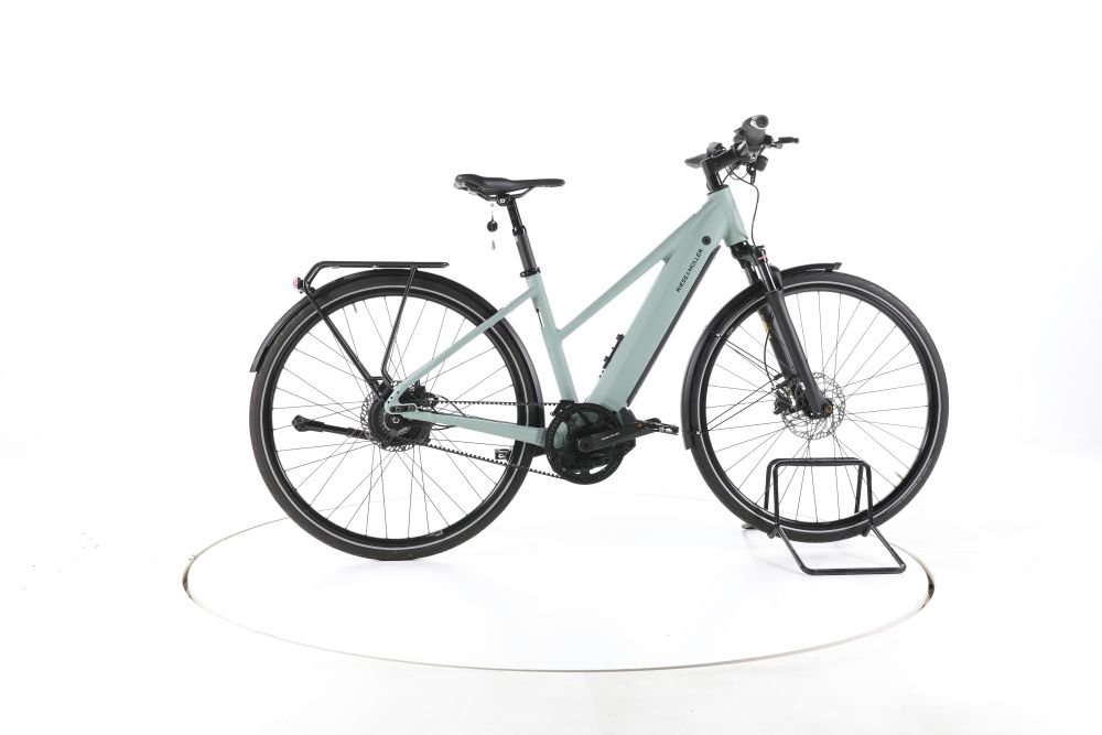 Riese & Müller Roadster Mixte City E-Bike
