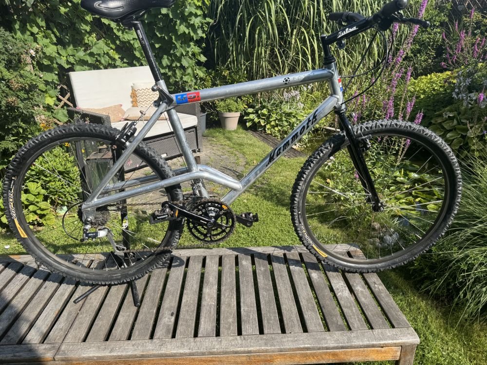 Retro Vintage MTB Mammoth RC201