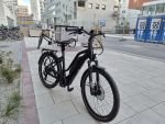 Produktbild 10 von Flyer Upstreet3 7.10 E-Bike Elektro Fahrrad Trekking City Fahrrad E-Bike Rad Damen