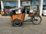 Produktbild 10 von Babboe Go Mountain Lastenrad Cargo Bike Kinder Transporter Lastenfahrrad Dreirad E-Bike