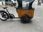 Produktbild 9 von Cangoo Buckle Lastenrad Cargo Bike Kinder Transporter Lastenfahrrad Dreirad Cangoo Buckle Elektro Rad
