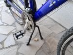Produktbild 4 von E-Bike 28 Zoll inkl. Akku 153,6Ah mit 250 Watt Frontmotor
