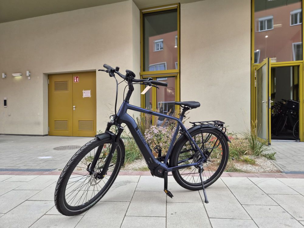 Pegasus Strong Evo 10 Lite E-Bike Elektro Fahrrad Trekking City Fahrrad E-Bike Rad Herren