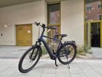 Produktbild 1 von Pegasus Strong Evo 10 Lite E-Bike Elektro Fahrrad Trekking City Fahrrad E-Bike Rad Herren