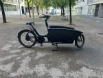 Produktbild 8 von Urban Arrow Family E Lastenrad Cargo Bike Kinder Transporter Lastenfahrrad Dreirad Elektro E-Bike viele Extras