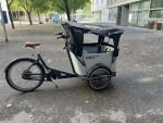 Produktbild 9 von Babboe Curve Mountain Lastenrad Cargo Bike Kinder Transporter Lastenfahrrad Dreirad E-Bike