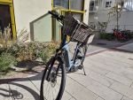Produktbild 8 von Kettler TRAVELLER GOLD P5 E-Bike Tiefeinsteiger Elektro Fahrrad Trekking City Fahrrad E-Bike Rad Damen