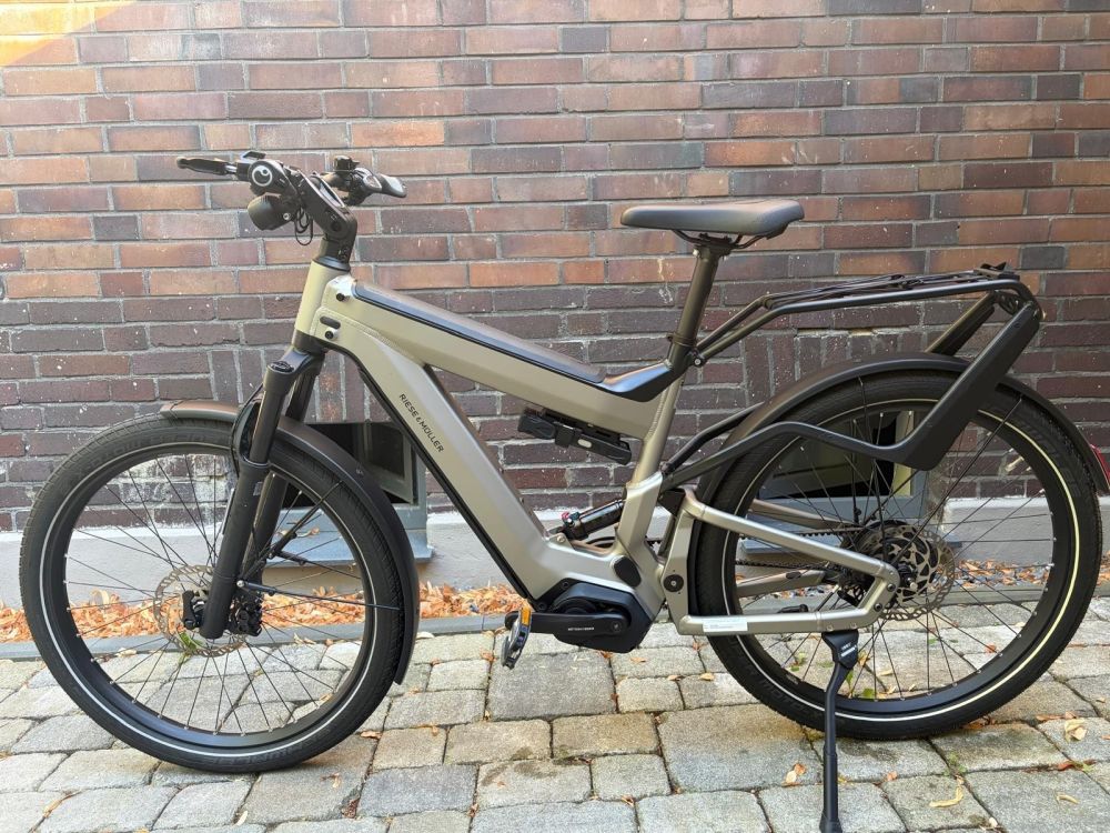 Riese und Müller Superdelite GT vario