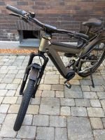 Produktbild 2 von Riese und Müller Superdelite GT vario