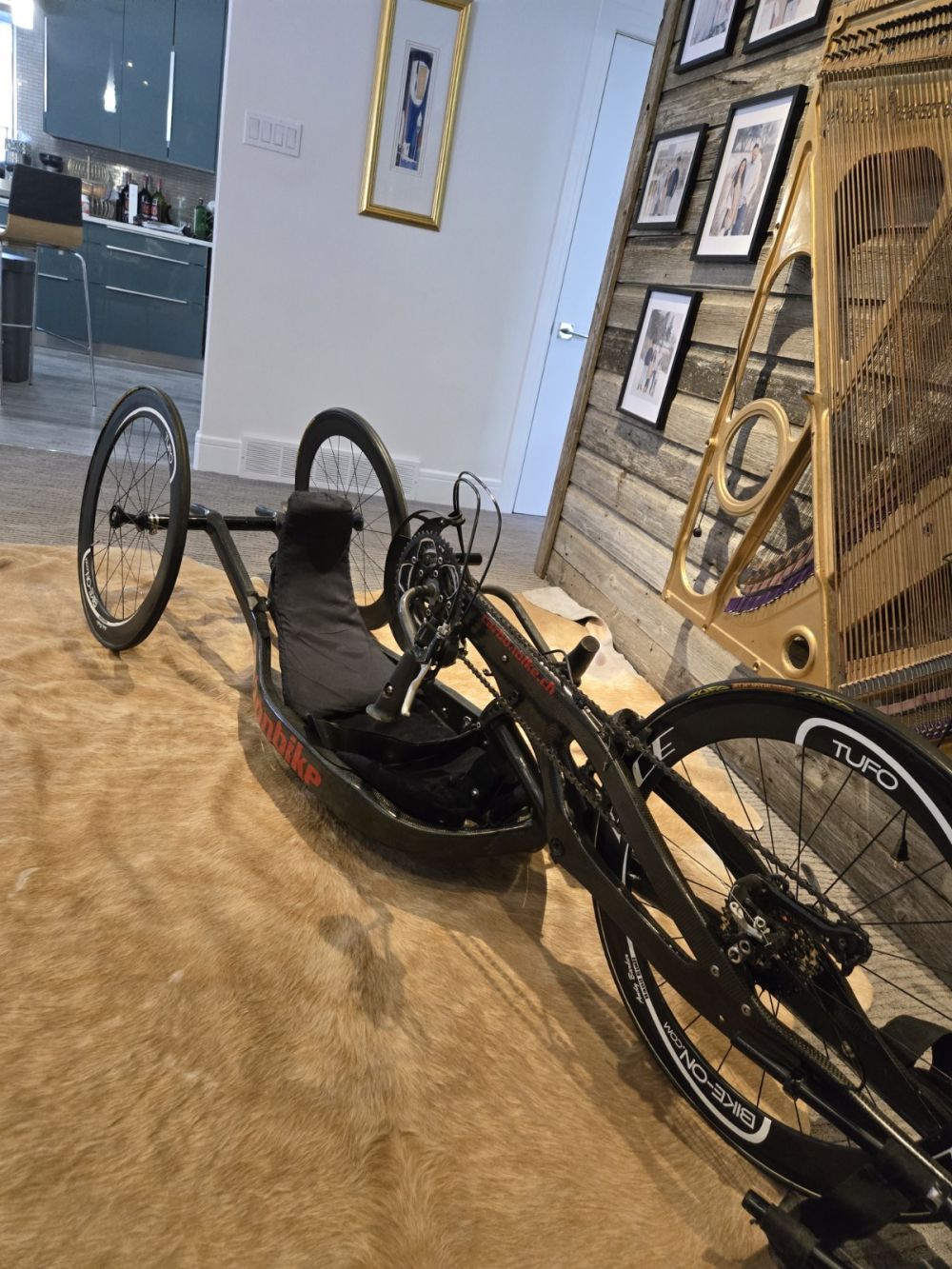 Carbonbike Recumbent Bike